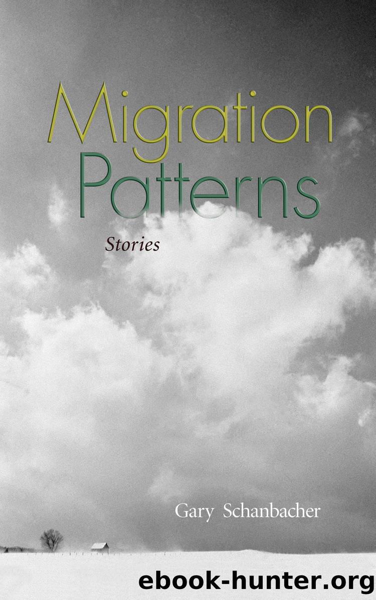 Migration Patterns by Gary L. Schanbacher