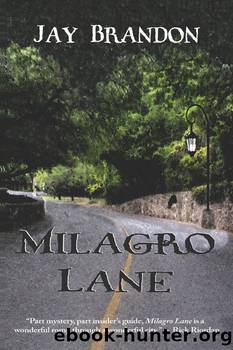 Milagro Lane by Jay Brandon