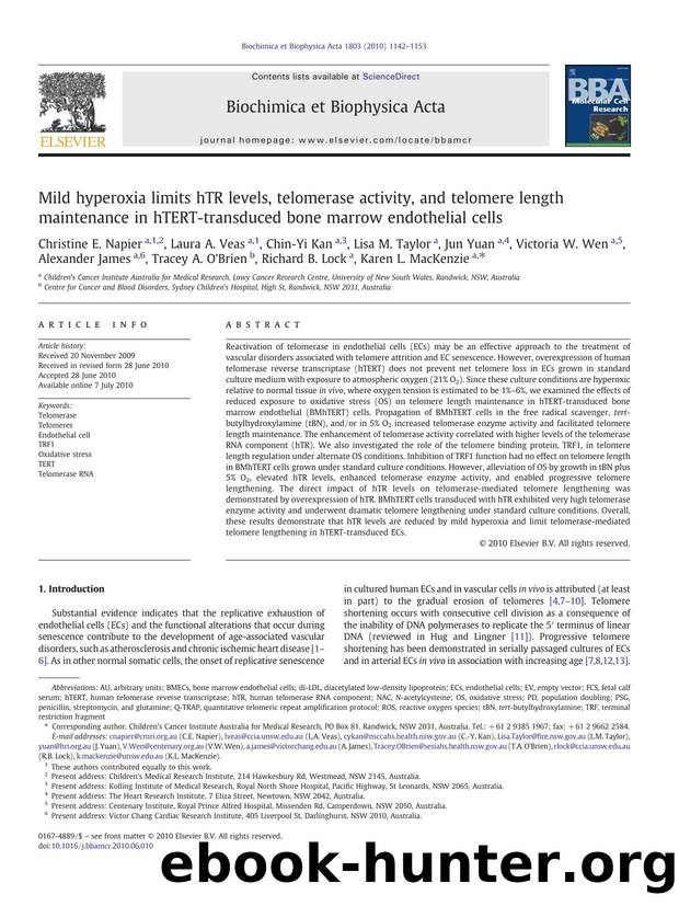 Mild hyperoxia limits hTR levels, telomerase activity, and telomere length maintenance in hTERT-transduced bone marrow endothelial cells by Christine E. Napier