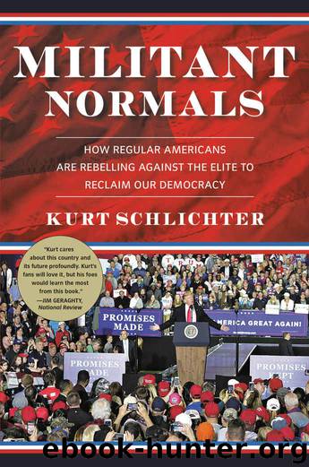 Militant Normals: How Regular Americans Are Rebelling Against the Elite to Reclaim Our Democracy by Kurt Schlichter