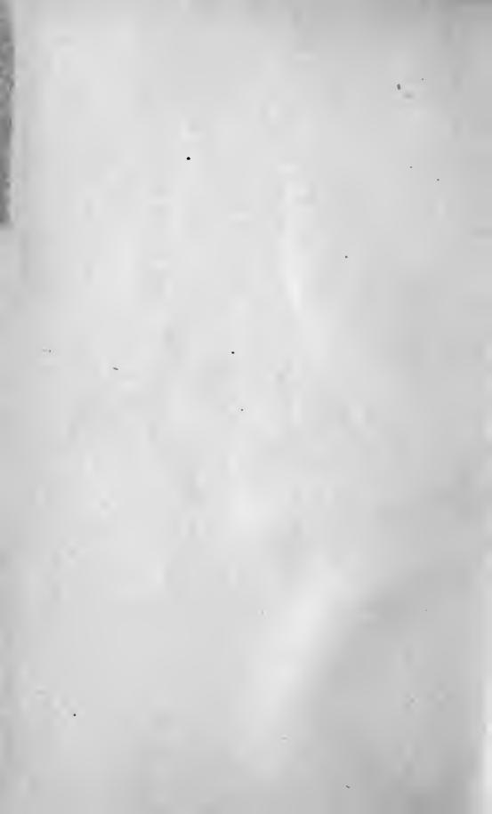 Miller's "boss" painter's receipt book, containing valuable receipts and information for the practical painter by Miller R. C