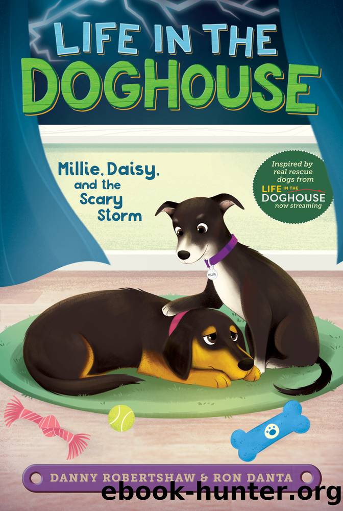 Millie, Daisy, and the Scary Storm by Danny Robertshaw & Ron Danta & Crystal Velasquez