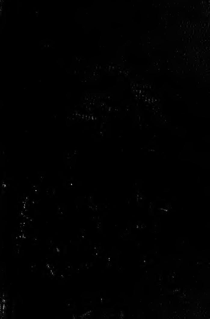 Millinery by Aiken Charlotte Rankin