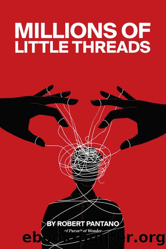 Millions of Little Threads by Robert Pantano