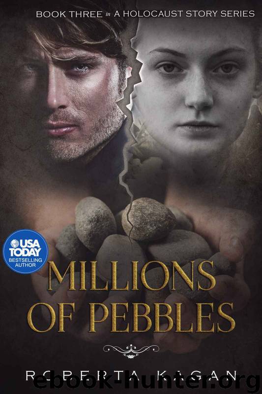 Millions of Pebbles by Roberta Kagan