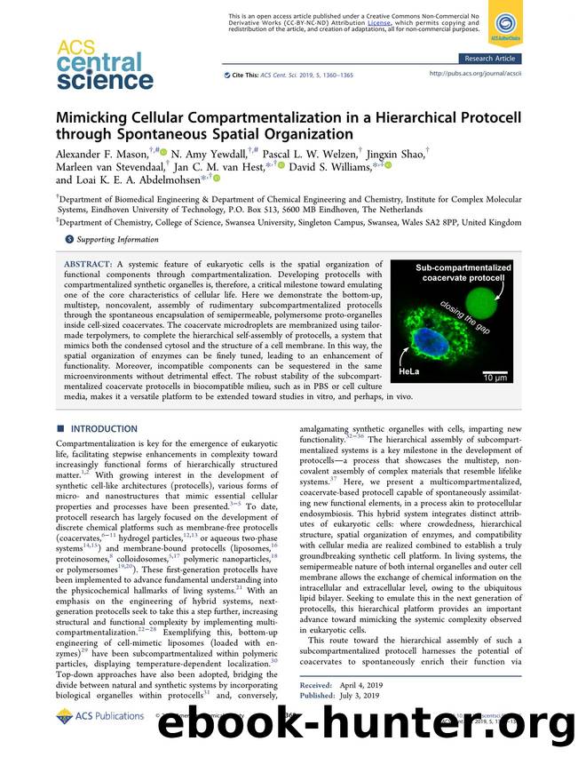 Mimicking Cellular Compartmentalization in a Hierarchical Protocell through Spontaneous Spatial Organization by unknow