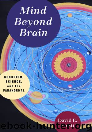 Mind Beyond Brain by David E. Presti
