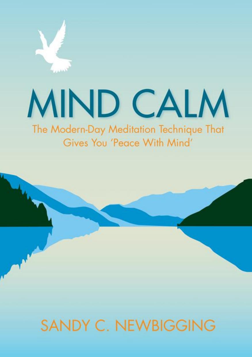 Mind Calm: The Modern-Day Meditation Technique that Proves the Secret to Success is Stillness by Sandy Newbigging