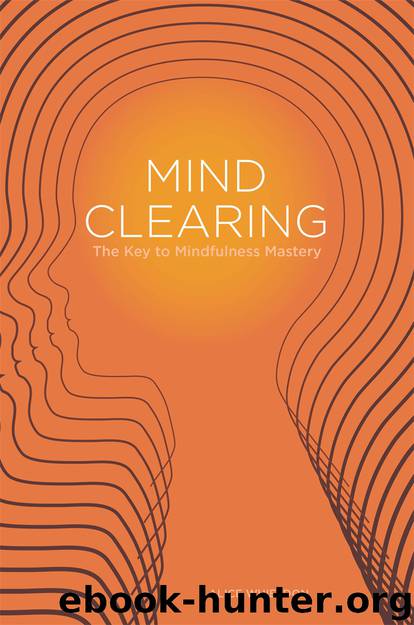 Mind Clearing by Whieldon Alice; Noyes Lawrence; Noyes Lawrence