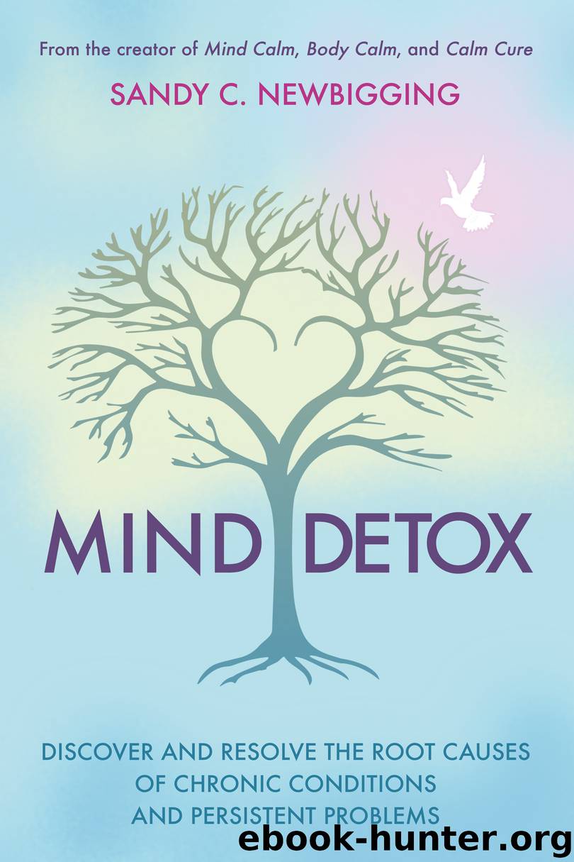 Mind Detox by Sandy C. Newbigging