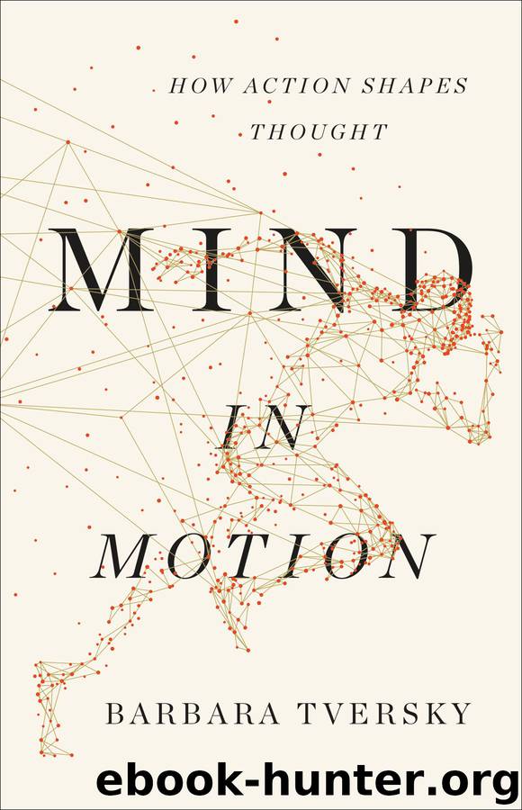 Mind in Motion by Barbara Tversky