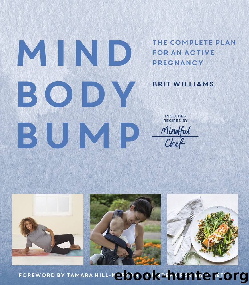Mind, Body, Bump by Brit Williams