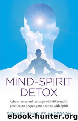 Mind-Spirit Detox by Richard Charles Anderson