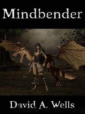 Mindbender by David A Wells