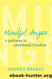 Mindful Anger: A Pathway to Emotional Freedom by Andrea Brandt