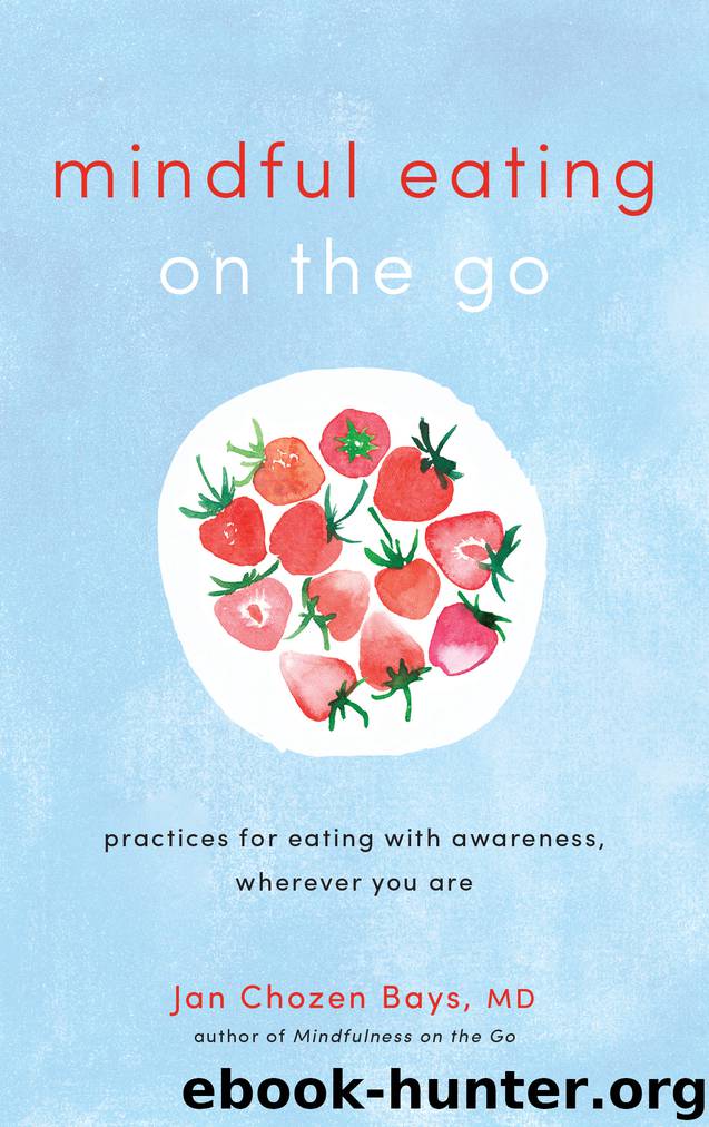 Mindful Eating on the Go by Jan Chozen Bays