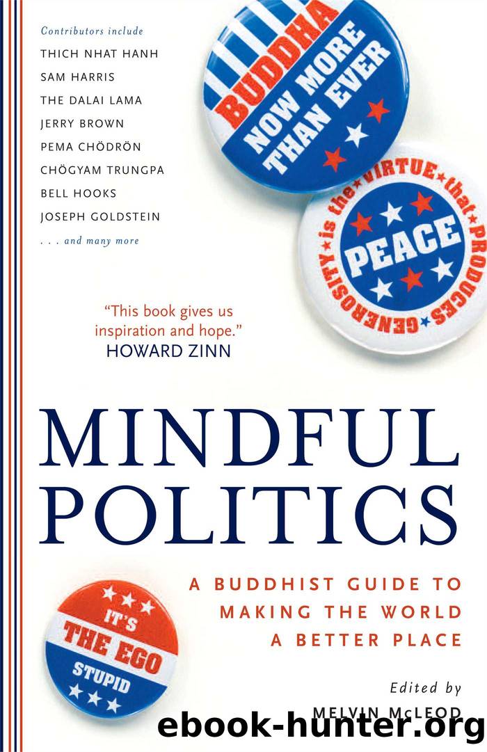 Mindful Politics by Melvin McLeod