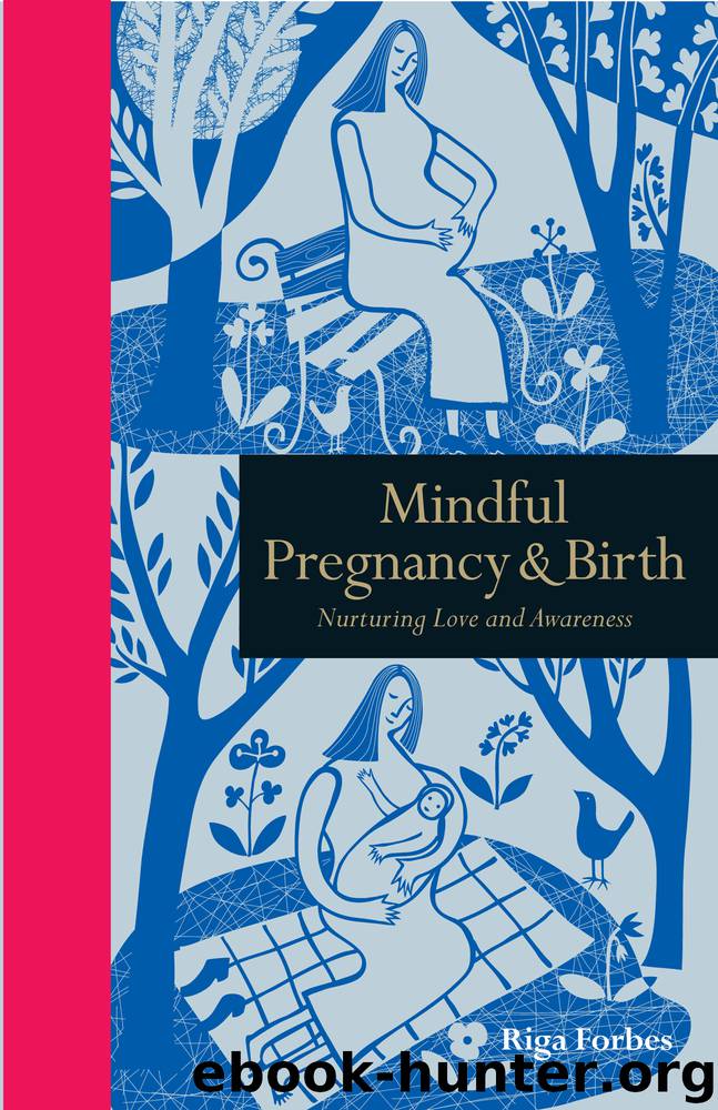 Mindful Pregnancy & Birth by Riga Forbes