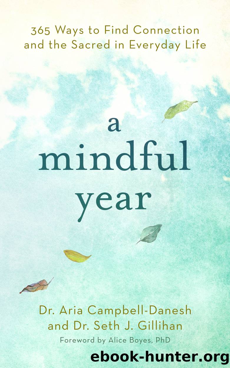 Mindful Year : 365 Ways to Find Connection and the Sacred in Everyday Life (9781982502010) by Campbell-Danesh Aria; Gillihan Seth J. Ph.d.; Boyes Alice Ph.D. (FRW)