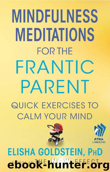 Mindfulness Meditations for the Frantic Parent by Elisha Goldstein PhD