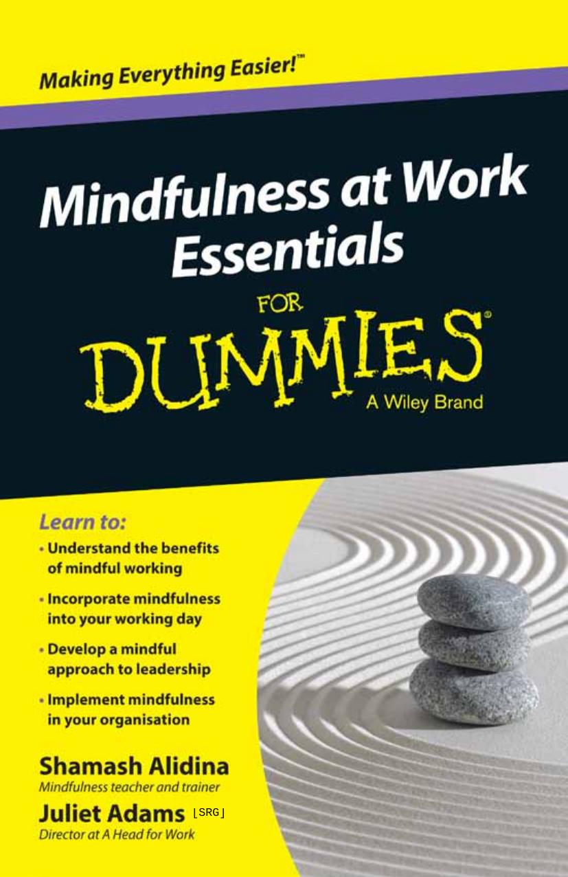 Mindfulness at Work Essentials for Dummies by Alidina Shamash Adams Juliet