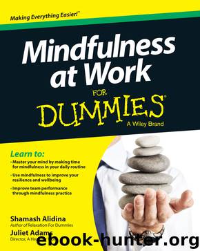 Mindfulness at Work For Dummies by Alidina Shamash Adams Juliet