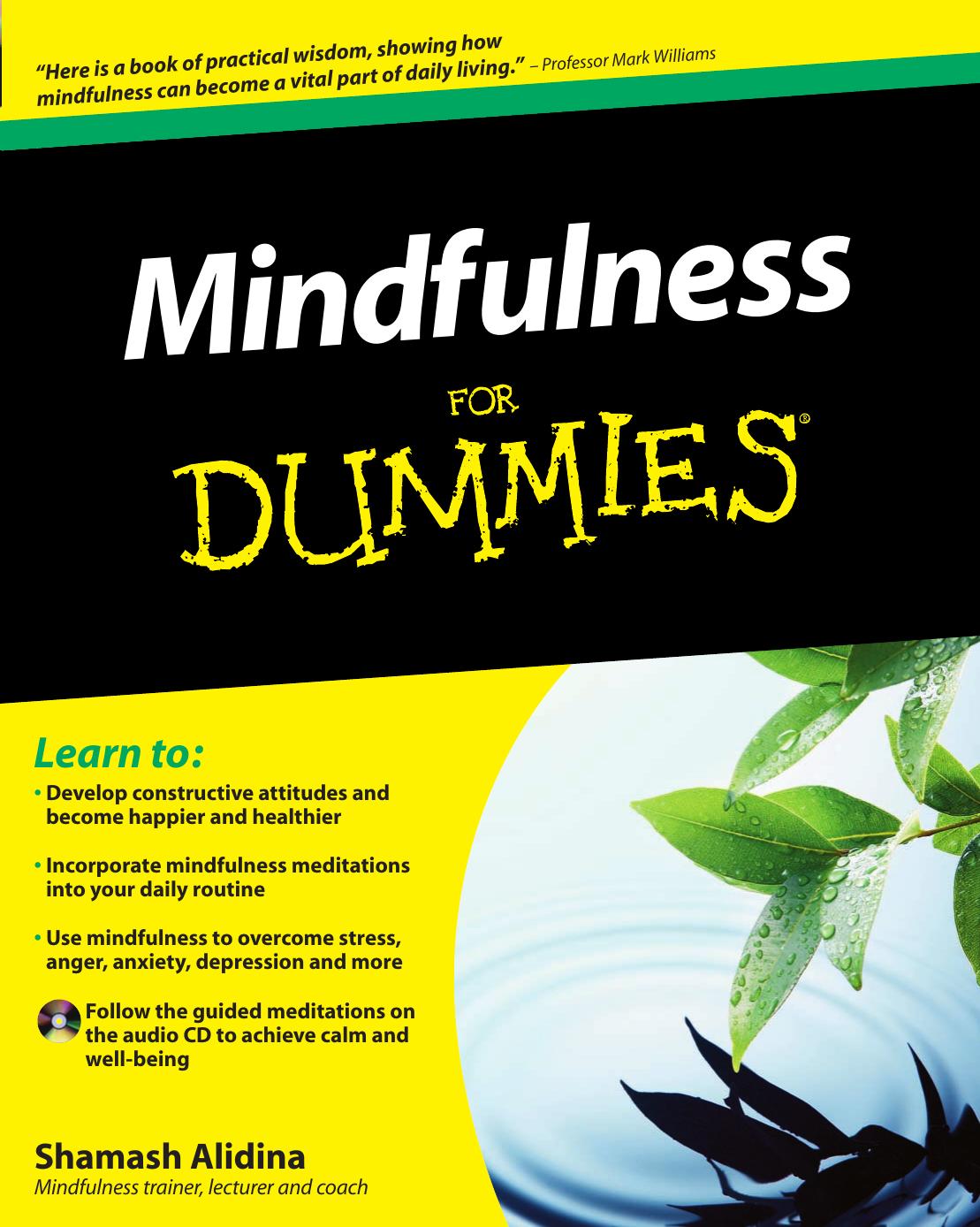 Mindfulness for Dummies by Alidina Shamash
