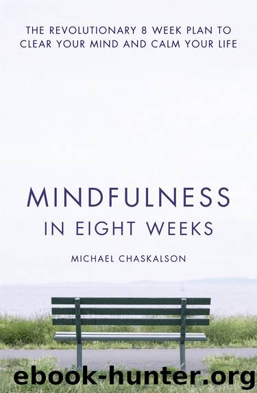 Mindfulness in Eight Weeks by Michael Chaskalson