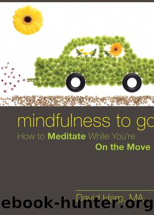 Mindfulness to Go by David Harp