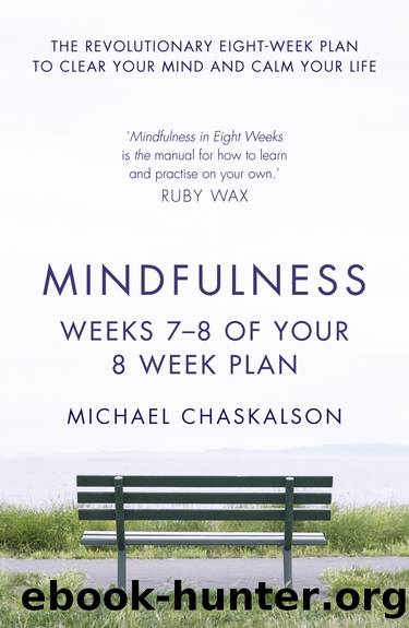 Mindfulness, Weeks 7-8 of Your 8-Week Program by Michael Chaskalson