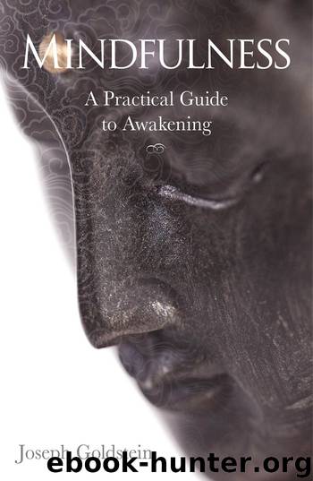 Mindfulness: A Practical Guide to Awakening by Joseph Goldstein