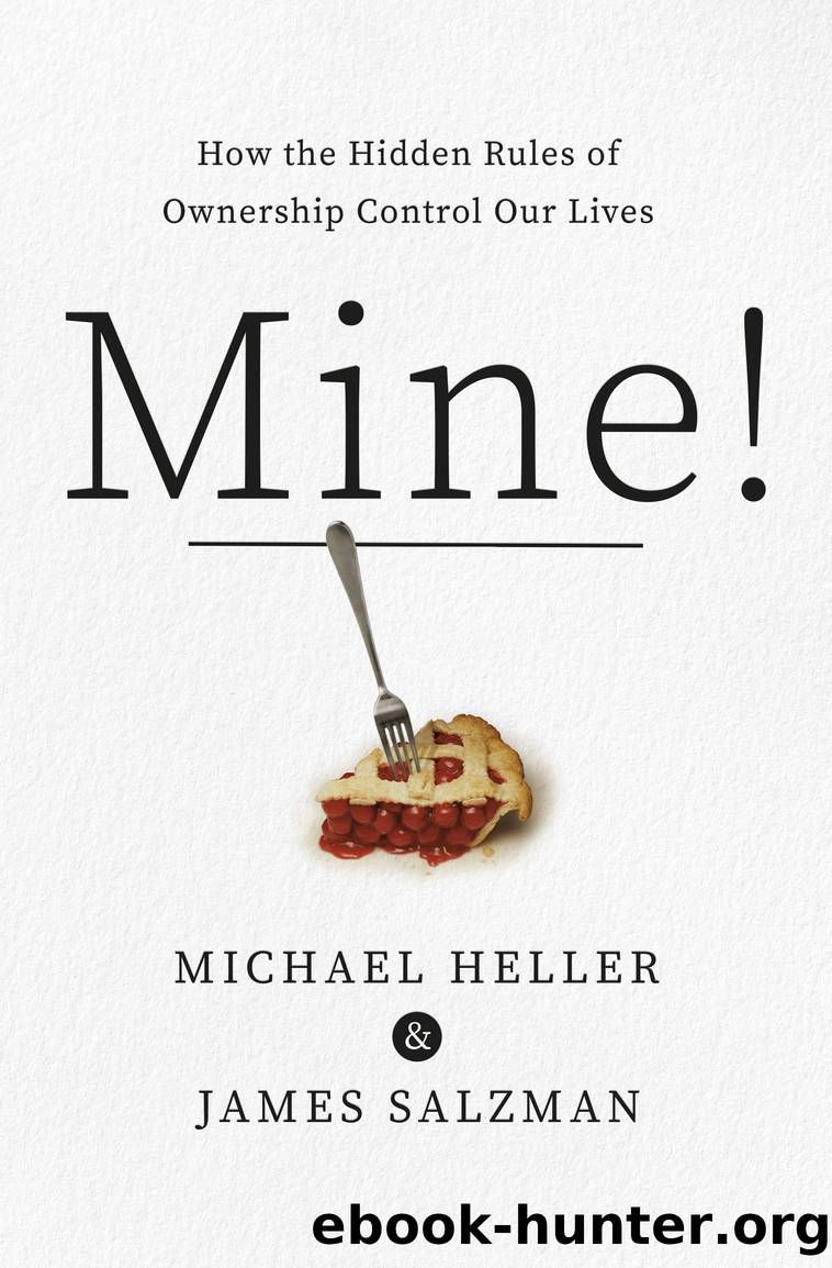 Mine! by Michael A. Heller & James Salzman