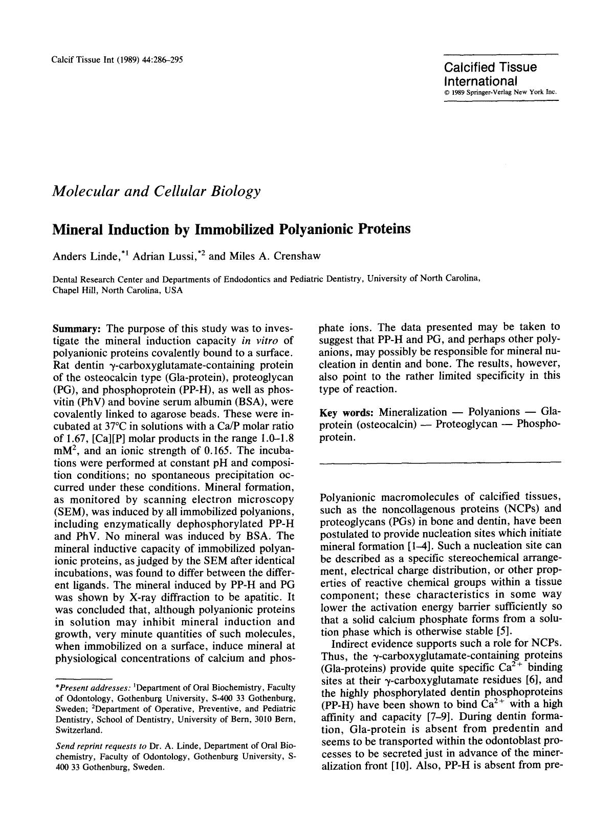 Mineral induction by immobilized polyanionic proteins by Unknown