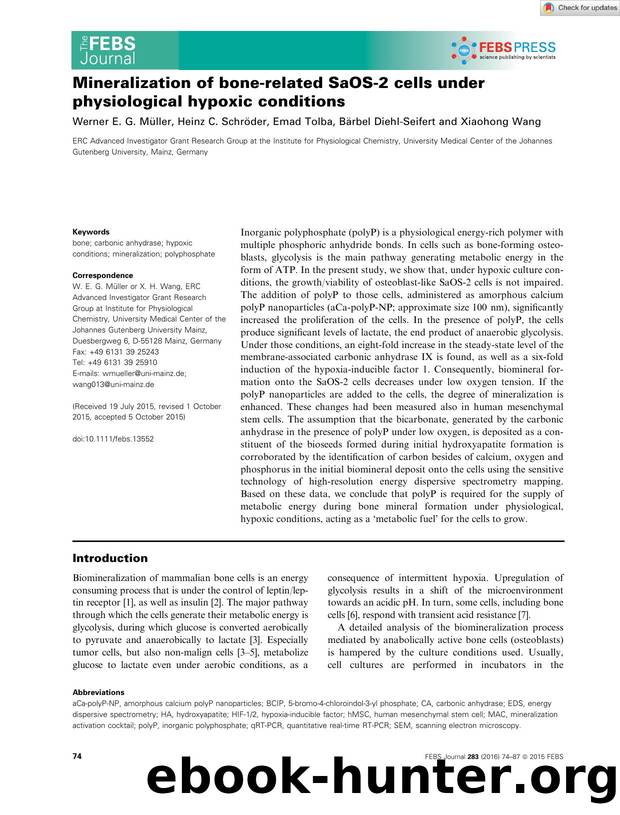 Mineralization of boneârelated SaOSâ2 cells under physiological hypoxic conditions by Unknown