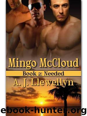 Mingo McCloud 2: Needed by Llewellyn A. J