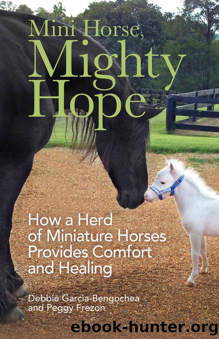 Mini Horse, Mighty Hope by Debbie Garcia-Bengochea