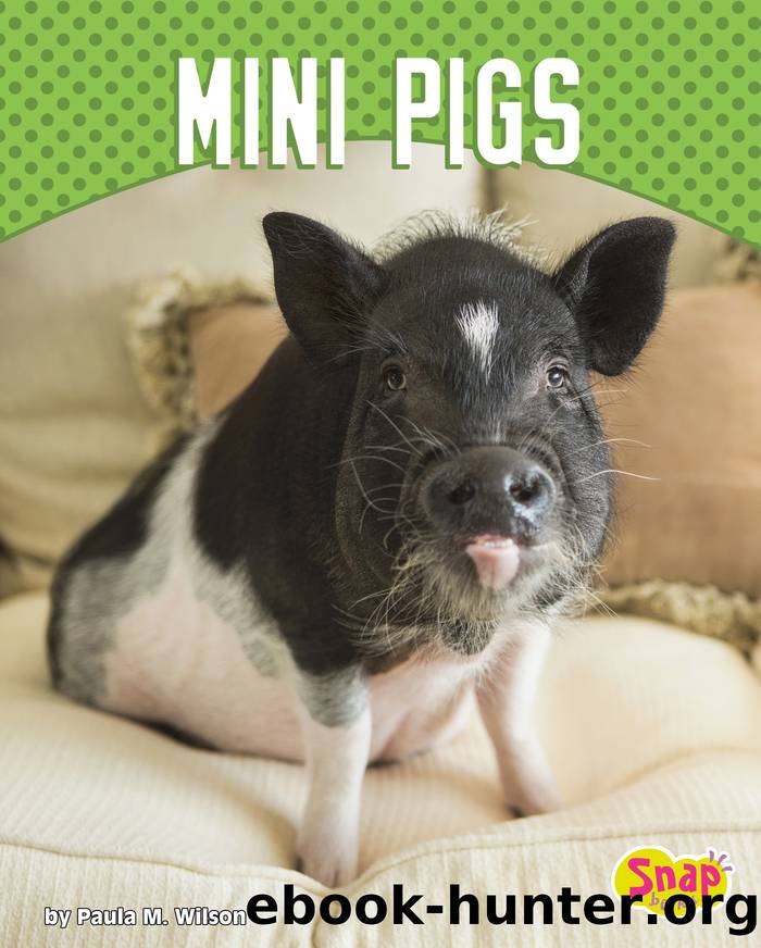 Mini Pigs by Paula M. Wilson