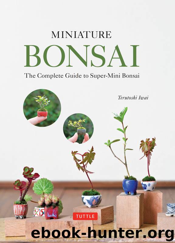 Miniature Bonsai by Terutoshi Iwai