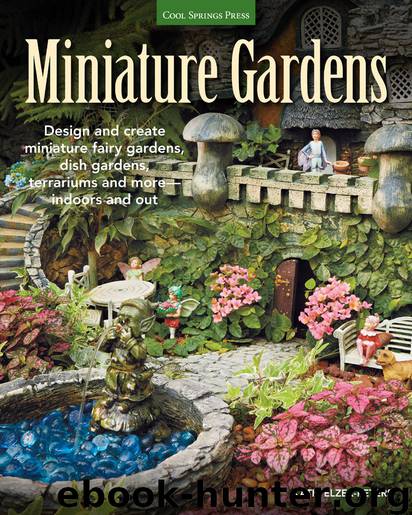 Miniature Gardens by Katie Elzer-Peters