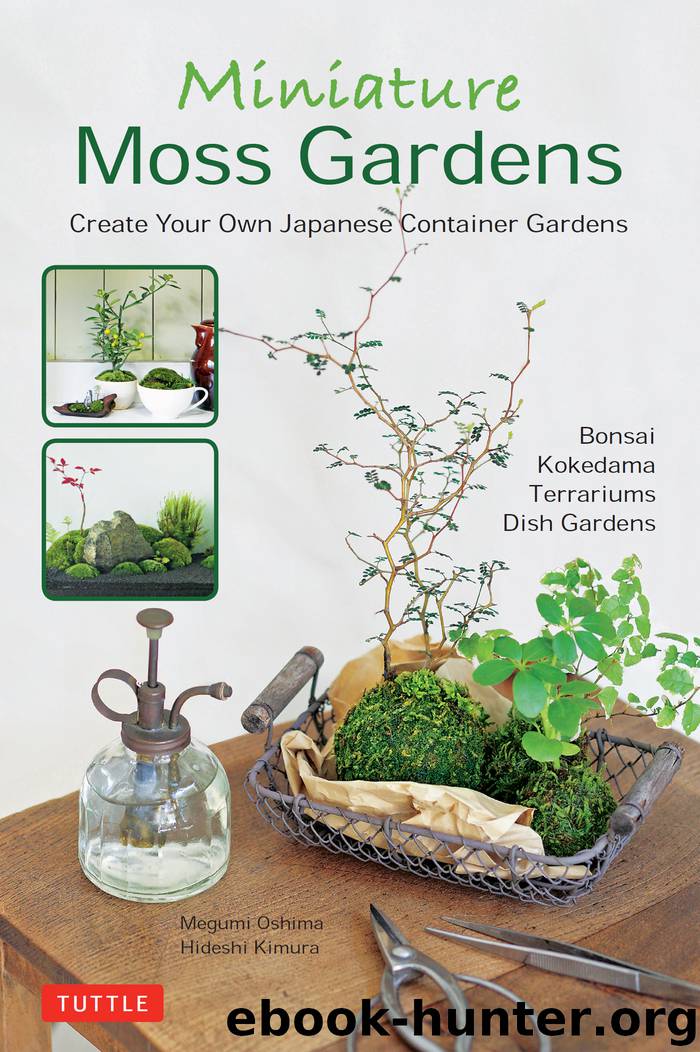 Miniature Moss Gardens by Megumi Oshima & Hideshi Kimura
