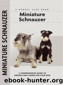 Miniature Schnauzer by Lee Sheehan