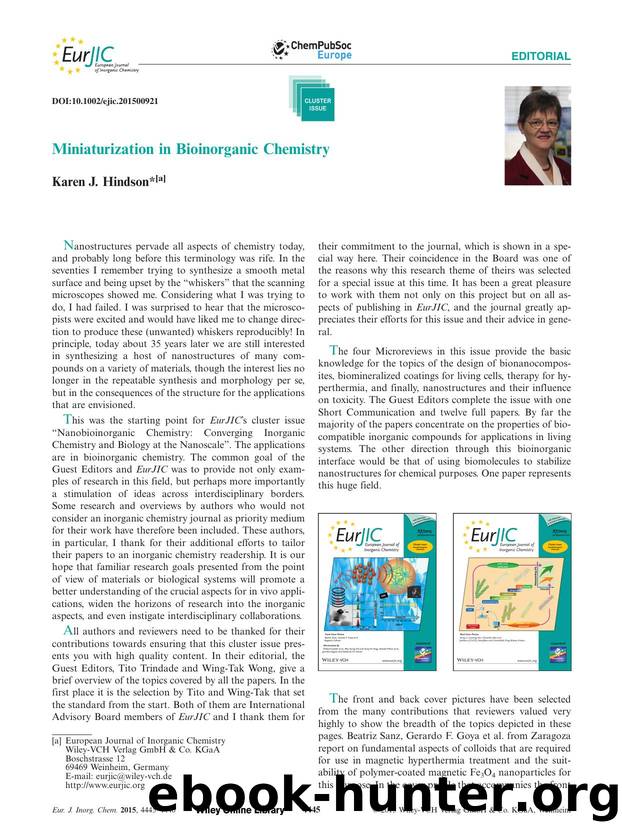 Miniaturization in Bioinorganic Chemistry by Unknown