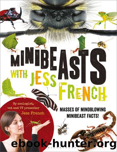 Minibeasts with Jess French by Jess French