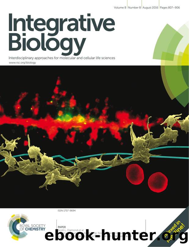 Minimum wound size for clotting: flowing blood coagulates on a single collagen fiber presenting tissue factor and von Willebrand factor by Shu Zhu & Maurizio Tomaiuolo & Scott L. Diamond