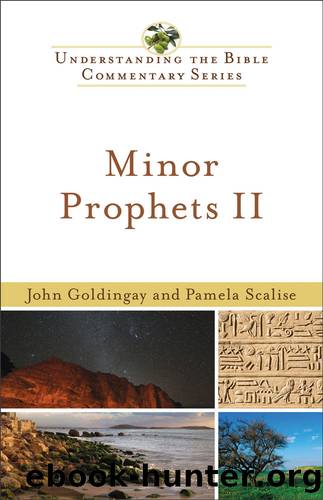 Minor Prophets II by John Goldingay