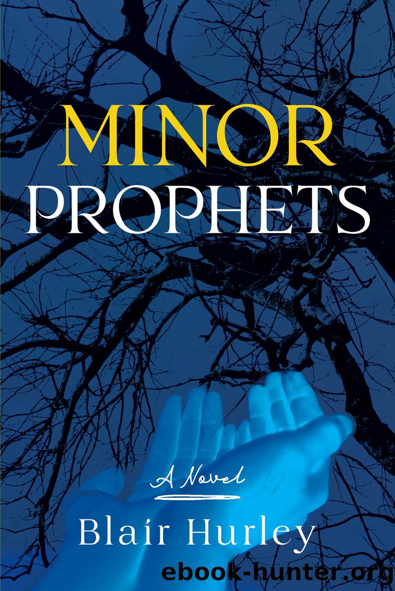 Minor Prophets by Blair Hurley