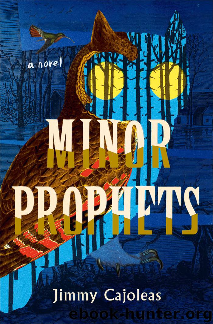 Minor Prophets by Jimmy Cajoleas