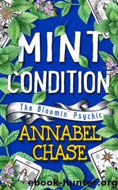 Mint Condition by Annabel Chase