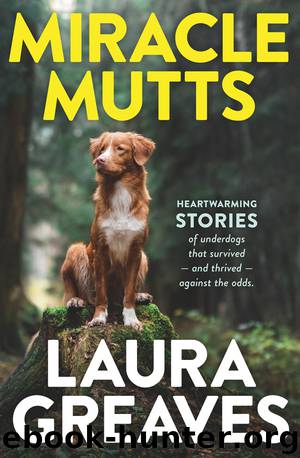 Miracle Mutts by Laura Greaves