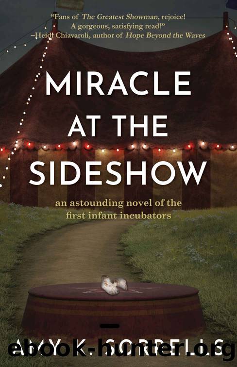 Miracle at the Sideshow: An Astounding Novel of the First Infant Incubators by Amy K. Sorrells